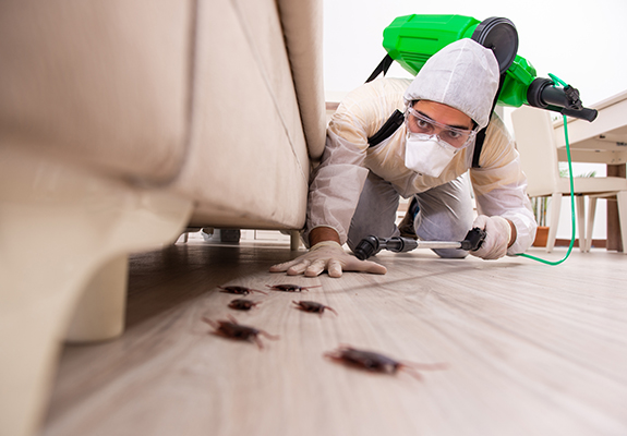 An exterminator spraying cockroaches on the floor of a home