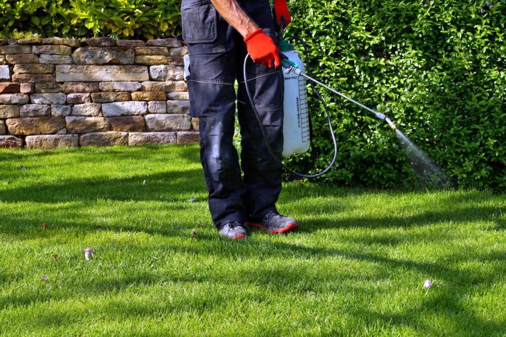 Man with gloves on spraying grass yard with pesticide