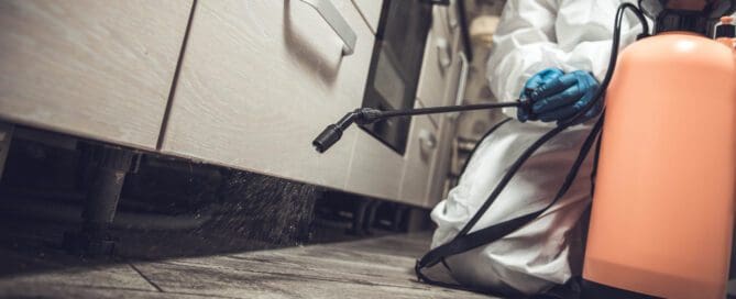A pest control worker in a white hazard suit sprays pesticides to control ant infestation