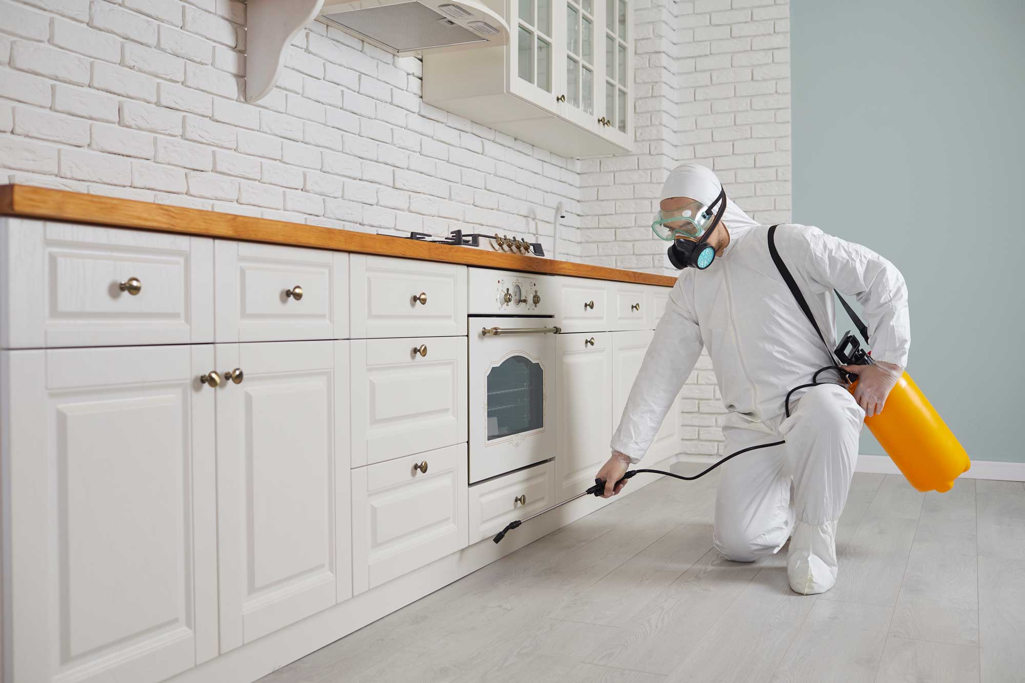 Pest control home service guy fighting bugs in the house.