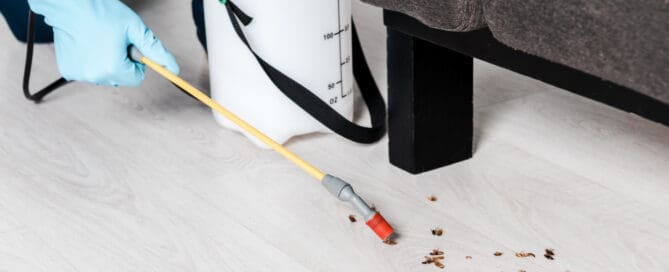 Person wearing gloves is spraying liquid on floor with bugs