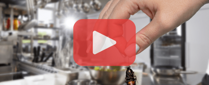 Person holding cockroach on kitchen restaurant.