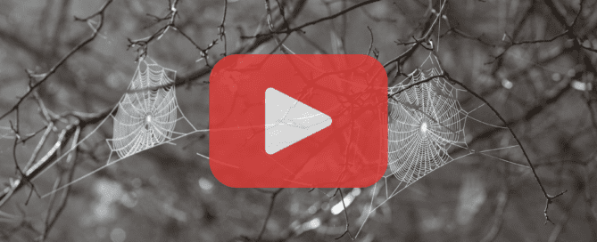 elicate spiderwebs glistening on tree branches in a muted forest setting, with a play button overlay and Prevent Pest Control branding in the corner.