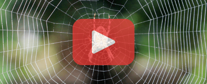 Spider on web with red play button on center of image.