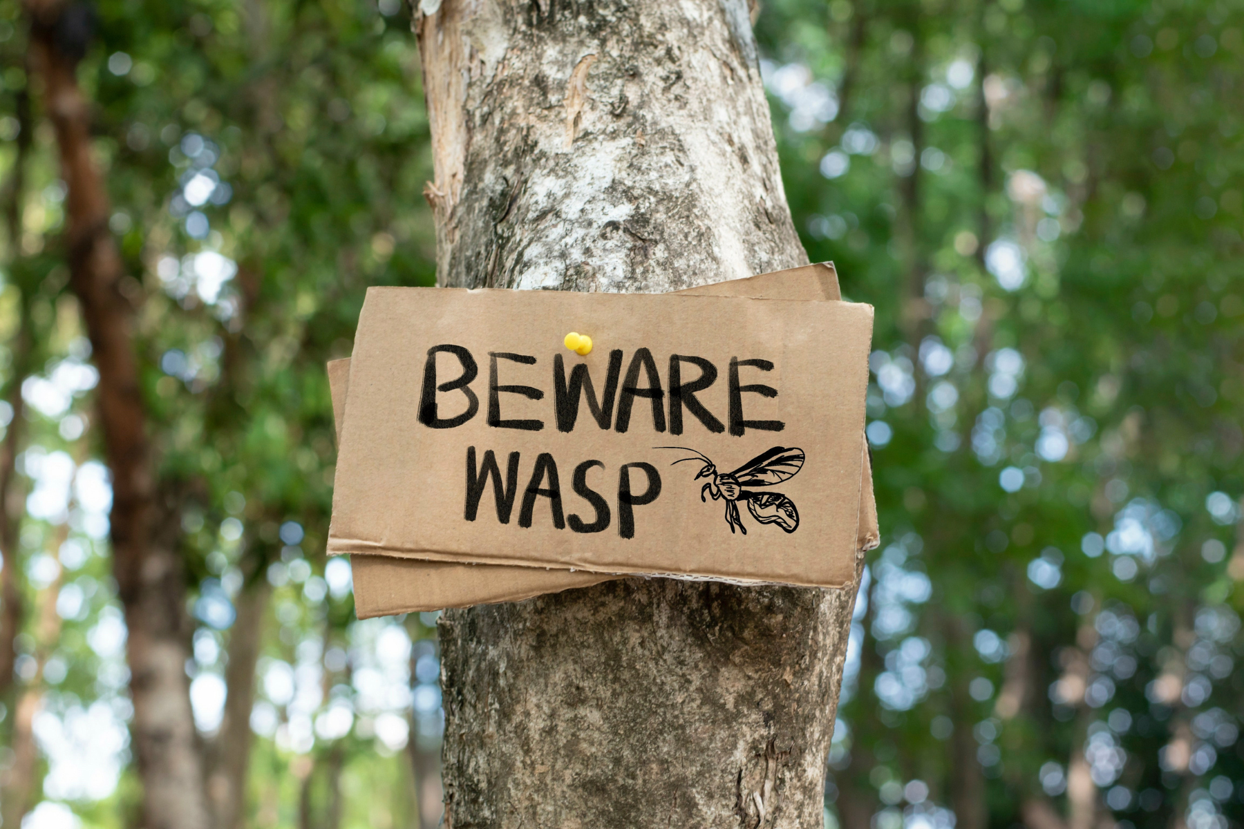 A cardboard sign on a tree warning about wasps in the area, with a drawing of a wasp.