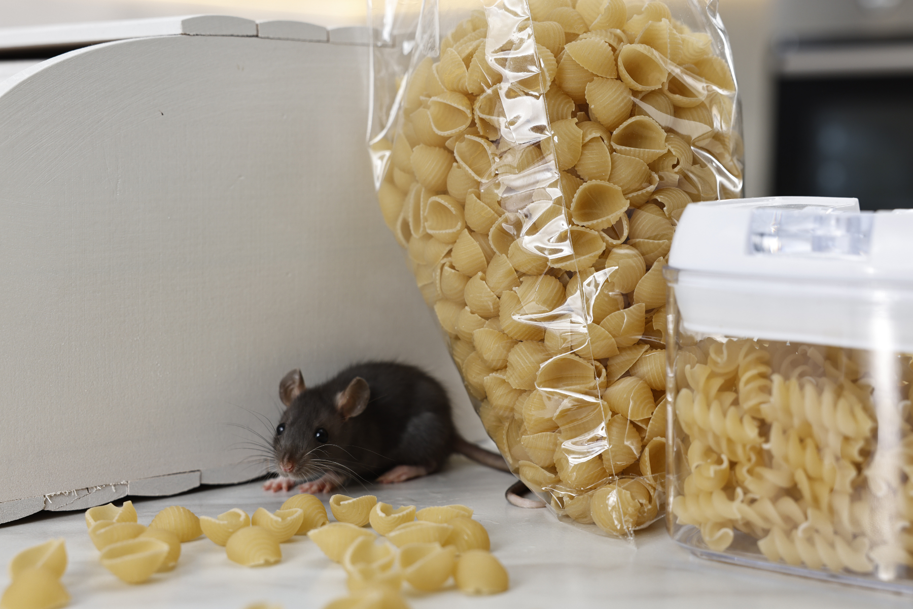 A small mouse hides next to an open bag of pasta in a kitchen.