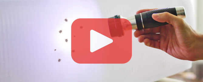 A hand holding a flashlight inspects a mattress for bed bugs, with the Prevent Pest Control logo and a play icon suggesting a video guide.