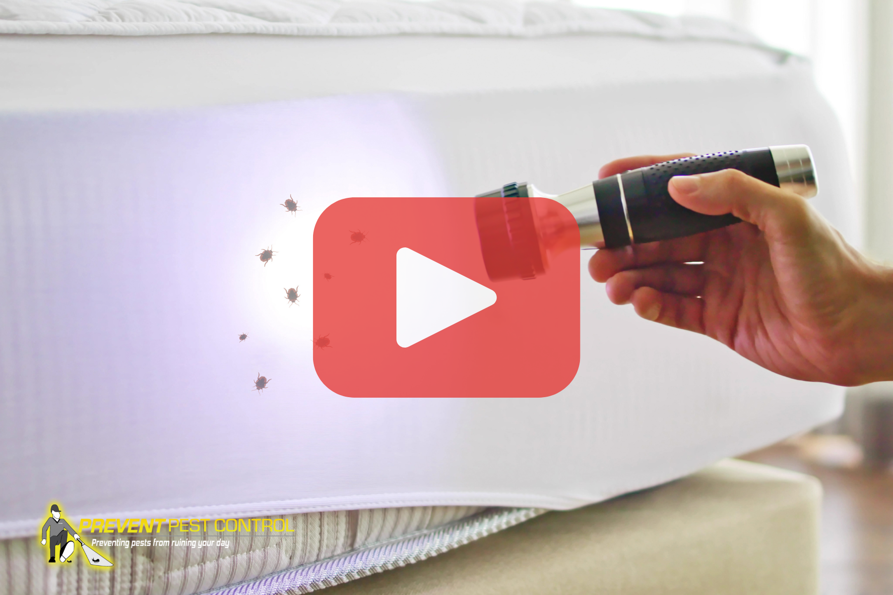 A hand holding a flashlight inspects a mattress for bed bugs, with the Prevent Pest Control logo and a play icon suggesting a video guide.