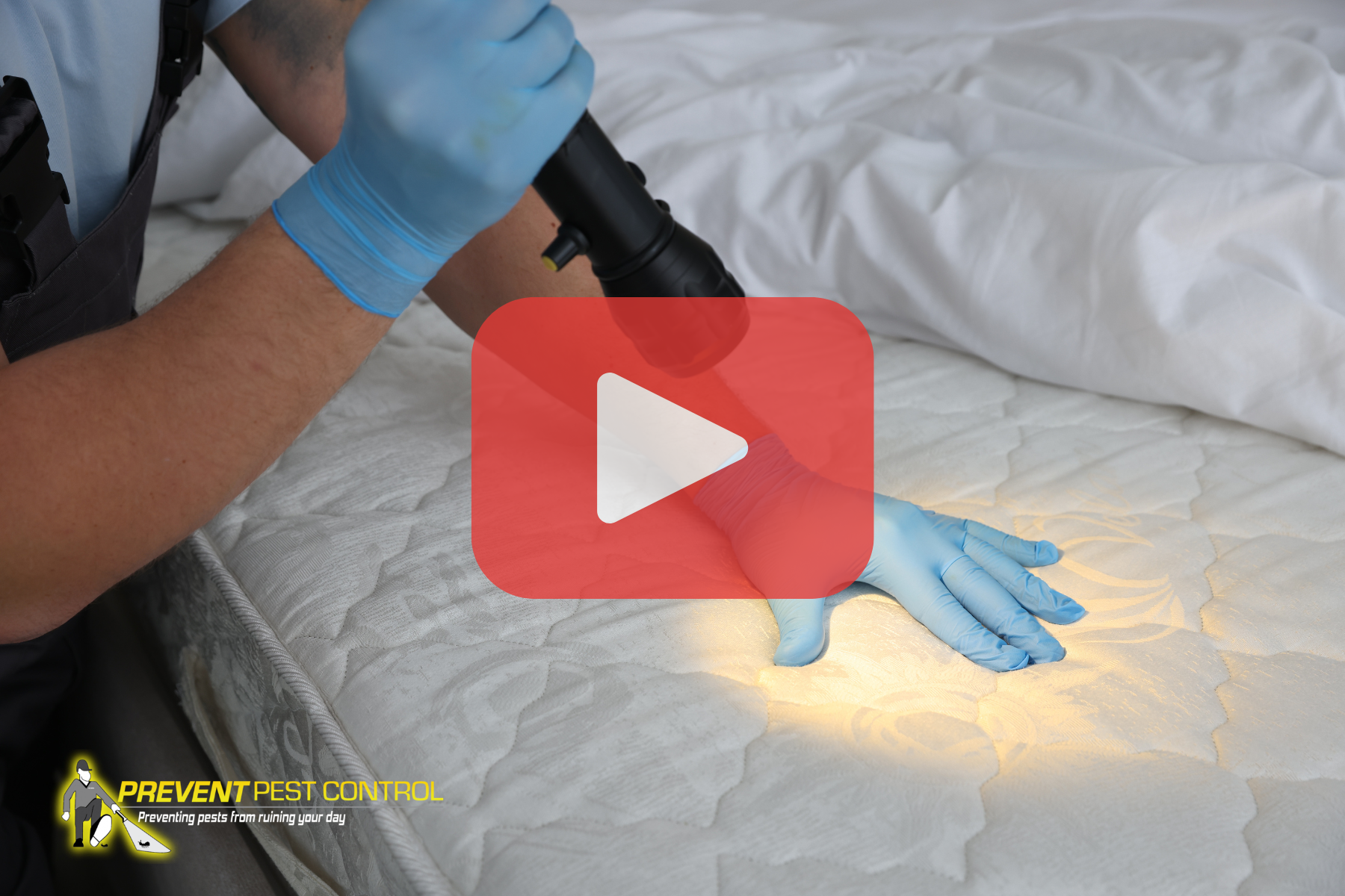 Person holding flashlight over bed looking for bed bugs. Red play button overlay and Prevent Pest Control logo.