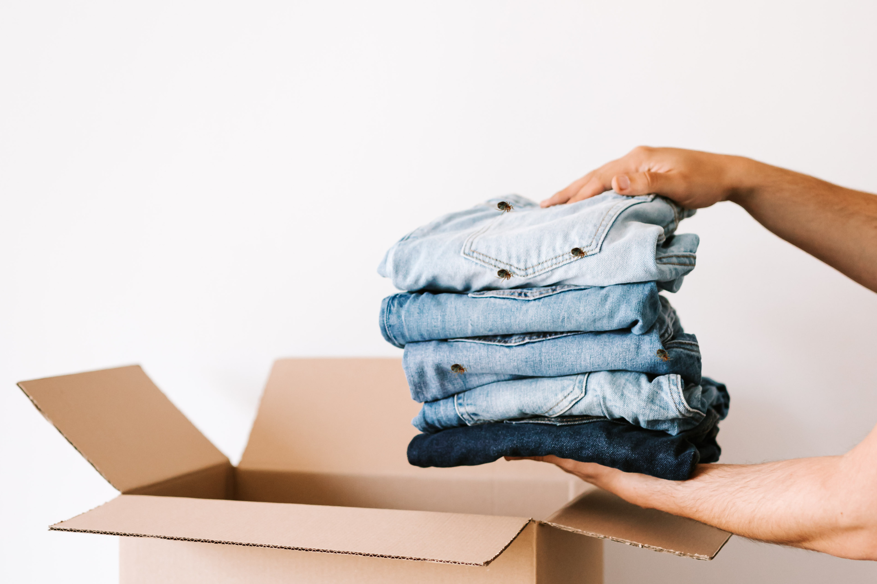 Person holding pile of folded clothes with bed bugs.