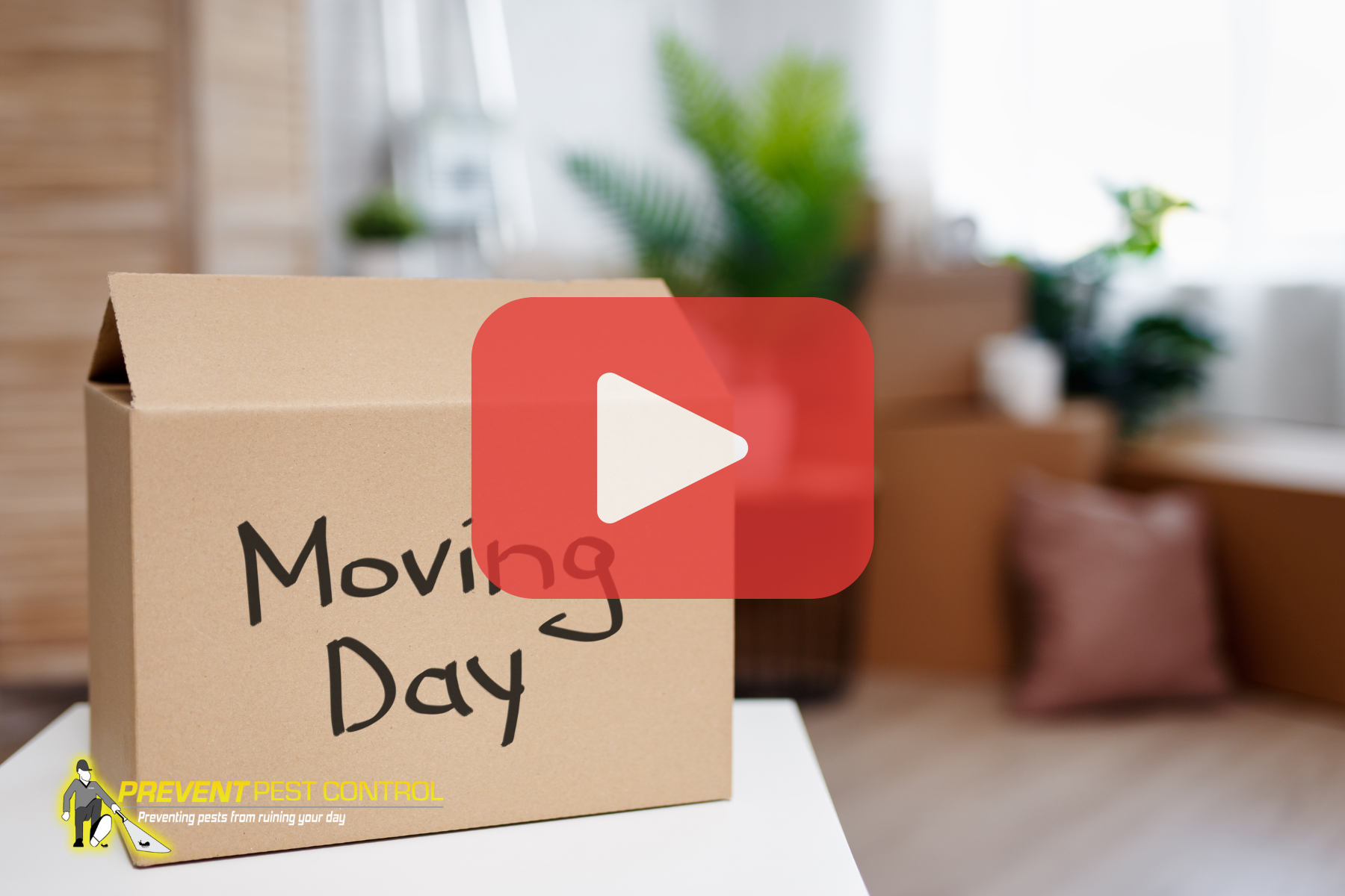Cardboard box with words: Moving day. Red play buttom overlay with Prevent Pest Control logo.
