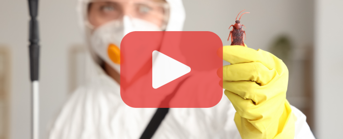 Woman with body suit holding cockroach. Red play buttom overlay and Prevent Pest Control logo.