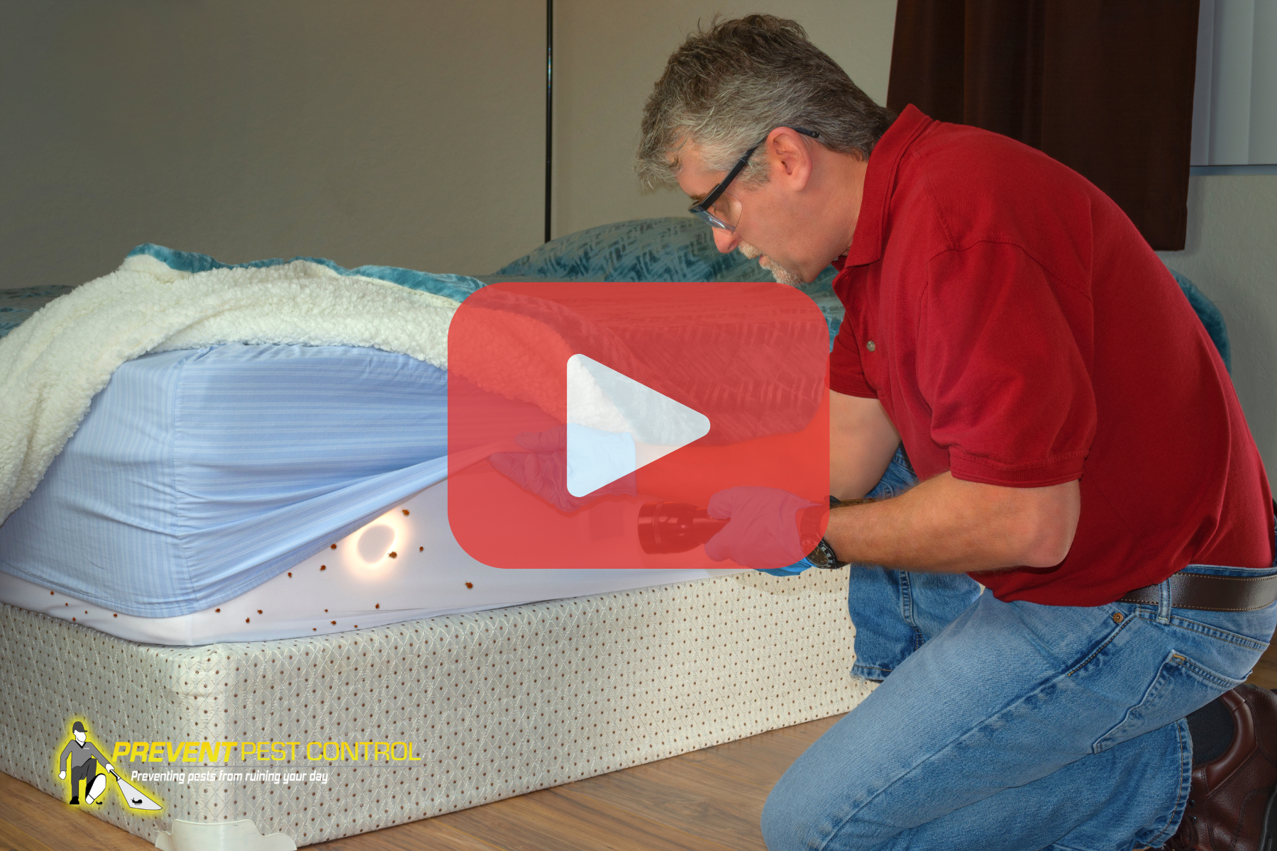 Man kneeling next to bed inspectiong mattress for bed bugs with flashlight. Red play buttom overlay with prevent pest control logo.
