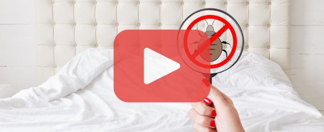 Person holding magnifying glass over bed, looking for bed bugs. Red play buttom overlay with prevent pest control logo.