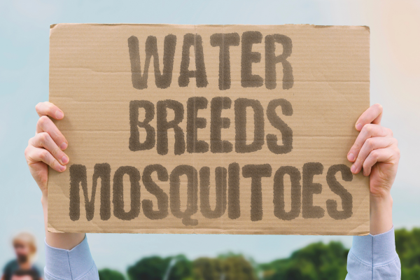 Cardboard with words: Water breeds mosquitoes.