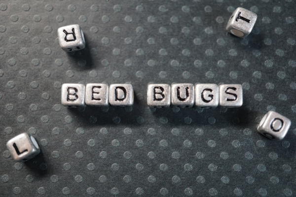 Beads spelling bed bug.